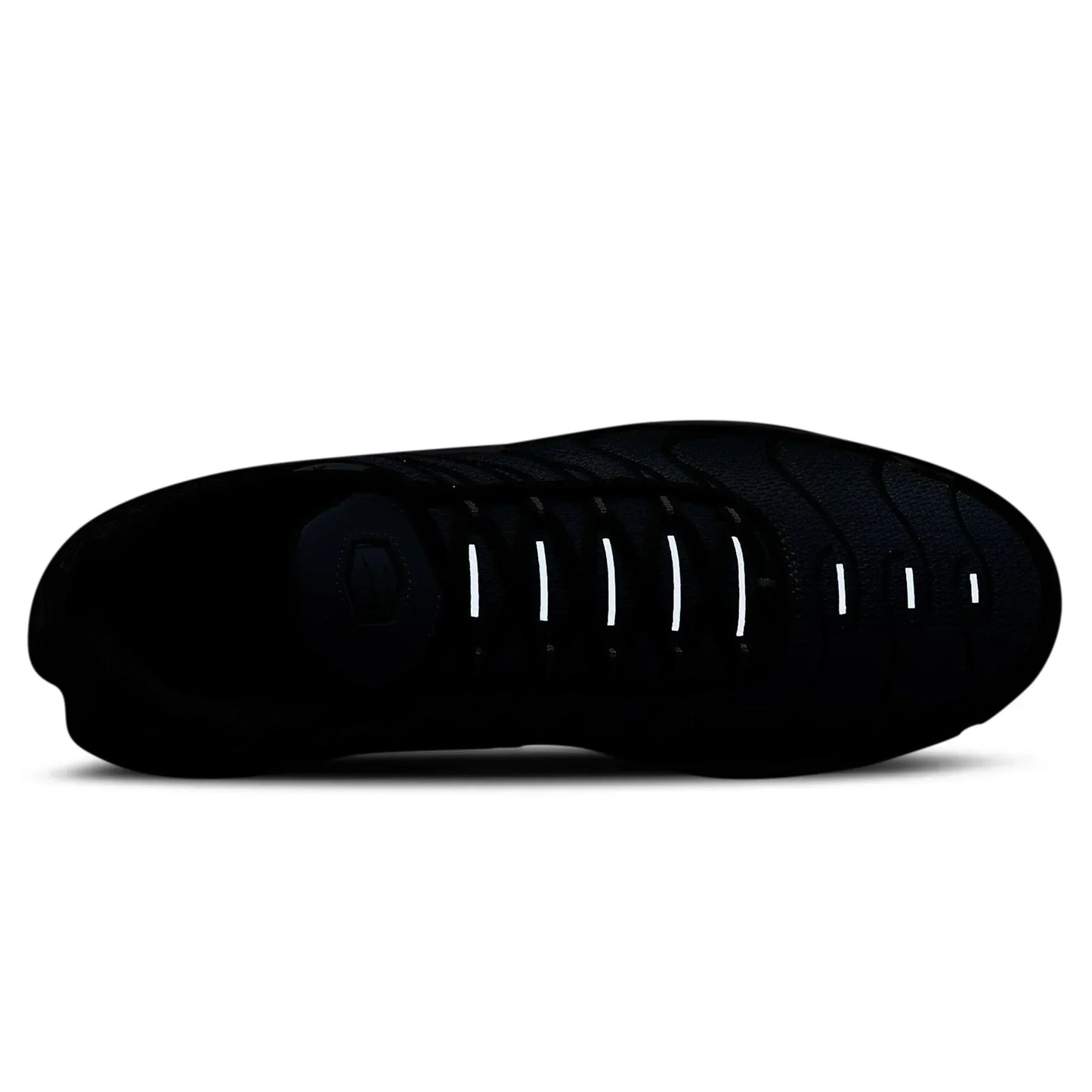 TN Air Max Plus Aquarius Blue